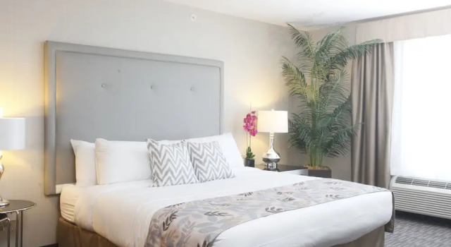 Номер Comfort Pomeroy Inn & Suites at Olds College