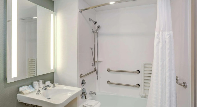 Двухместный номер Standard Hilton Garden Inn Boston Waltham