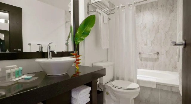Doppel Junior-Suite S Hotel Kingston