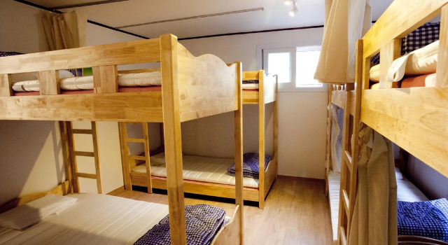 Cama en dormitorio compartido (dormitorio compartido femenino) Bunk Backpackers Guesthouse