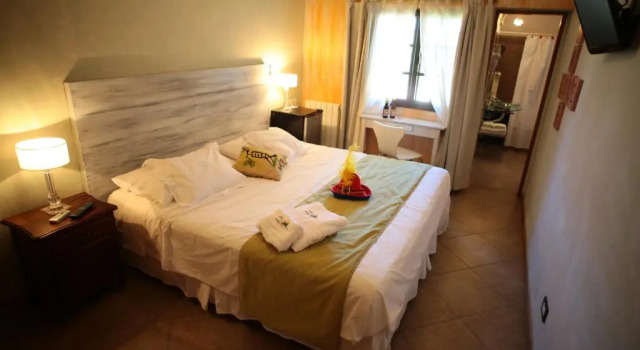 Четырёхместный номер Superior Hotel Antiguo Camino