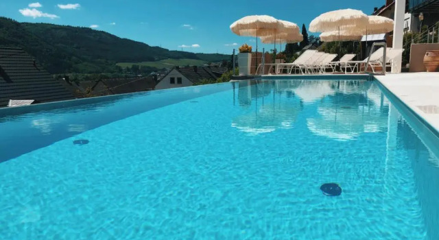 Номер Deluxe Weingut-Aparthotel Olinger