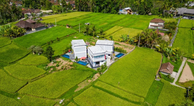 Вилла Maple Ridge Ubud Villas with Rice Field View