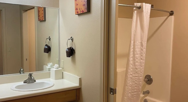 Двухместный номер Deluxe с видом на озеро Mount Shasta Resort