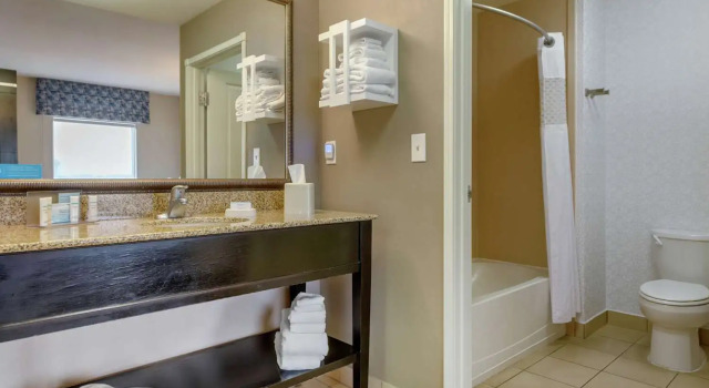 Люкс Hampton Inn Alamosa