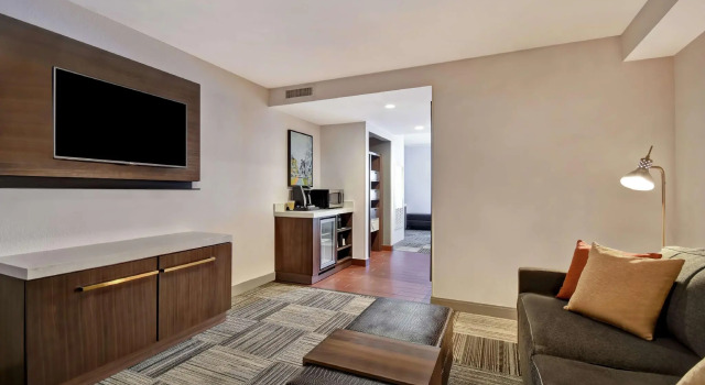 Двухместный люкс c 1 комнатой Hilton Garden Inn Houston/Galleria Area