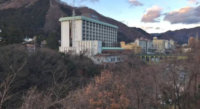 Семейный номер Standard Itoen Hotel New Sakura