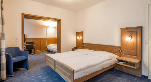 Трёхместный номер Hotel Alpina Luzern