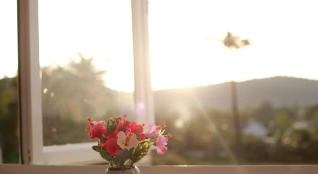 Кровать в общем номере (женский номер) Purple Place Homestay Phu Quoc