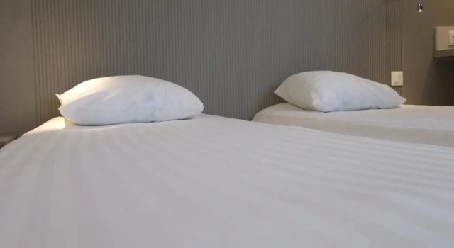 Двухместный номер Standard Brit Hotel Lille Centre