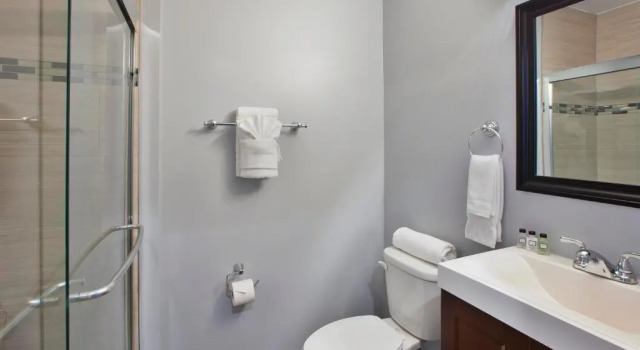 Люкс Economy Hotel Chicago West Loop, SureStay Collection by Best Western