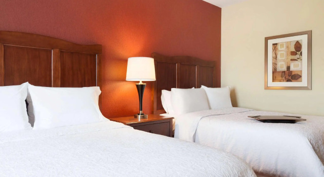 Четырёхместный номер Standard Hampton Inn & Suites Williston