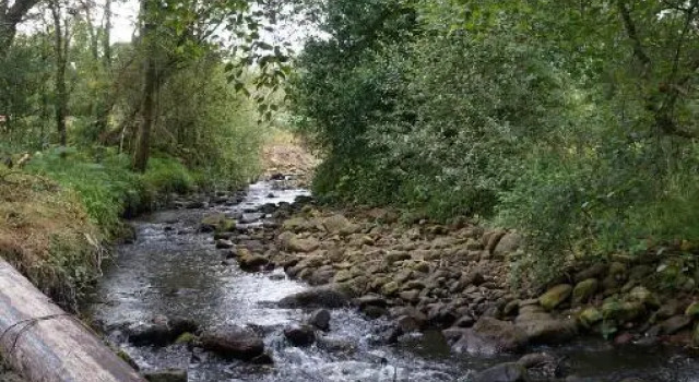 Deerbrook House B&B, Book Hotel Cahir Tipperary County