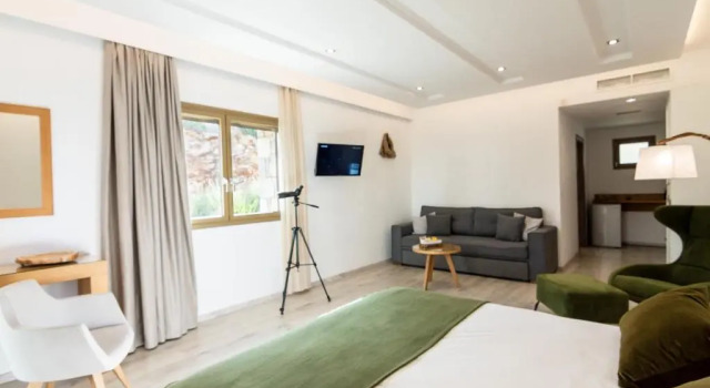 Номер Deluxe WHITE DONKEY BOUTIQUE Hotel