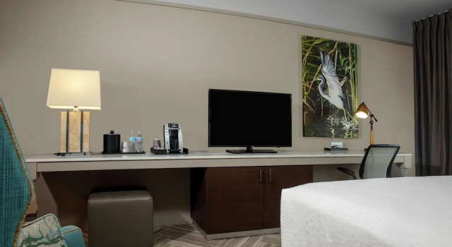 Люкс c 1 комнатой с видом на парк Hilton Garden Inn Mobile Downtown