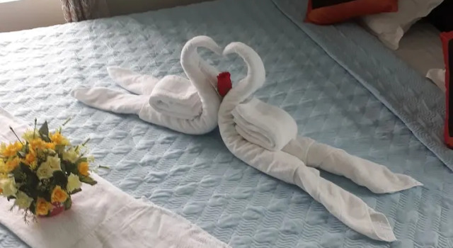 Двухместный номер Standard с видом на сад Tamcoc White Swan Hostel