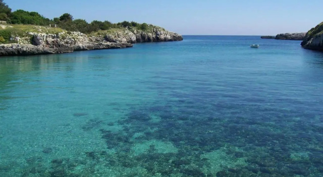 Апартаменты Vacanze al Minci