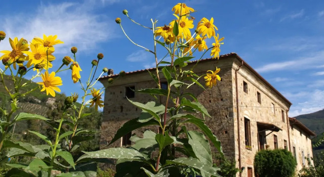 Agriturismo Al Palazzaccio
