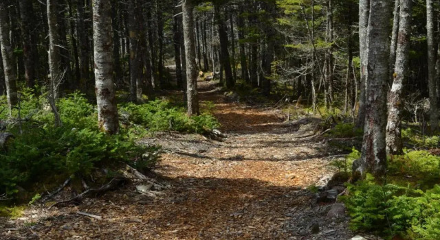 The Doctor's House Inn & Spa, Book Ferieresort SPA-hoteller i Newfoundland og Labrador, SPA