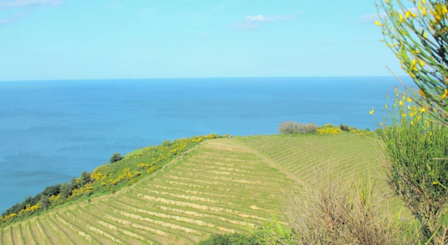 Апартаменты Holiday Home Near Urbino & Beaches