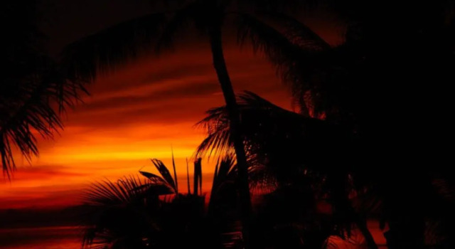Вилла Luxury Sibaja Palms Sunset Beach Luxury Villa