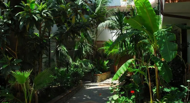 Номер Standard Hotel Village Eden