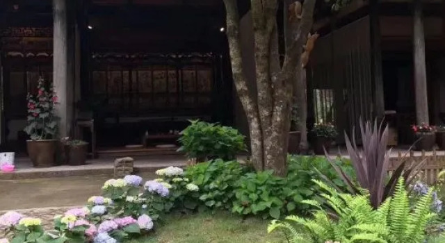 Fengyi Guesthouse, Boek Hotel Wenzhou Zhejiang