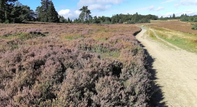 Коттедж Naturrefugium bei Willingen
