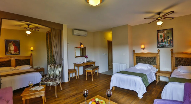 Четырёхместный семейный номер Standard Palace Hotel Olive Odore