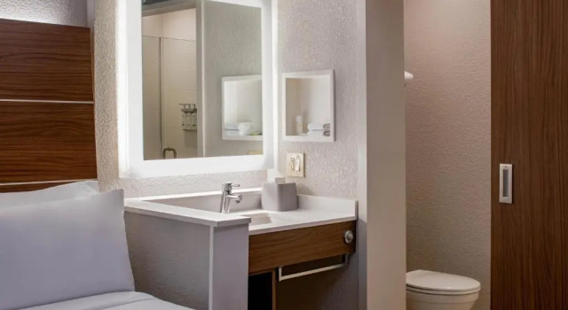 Номер Standard Holiday Inn Express New Orleans Downtown by IHG