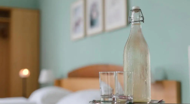 Номер Standard Hotel Garni - Gasthof Pillgrab