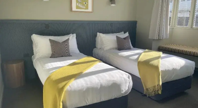Номер Standard The Elmwood Motel
