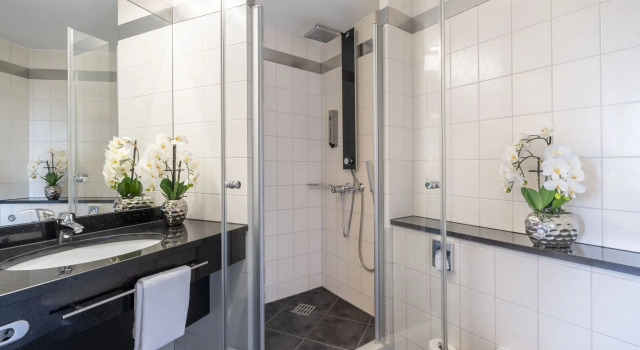 Одноместный номер Standard PLAZA INN Stuttgart Airport Messe