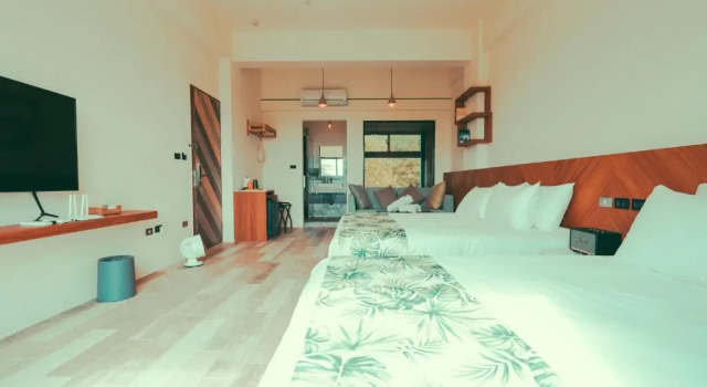 Shark B&B