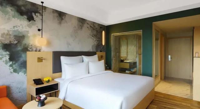 Двухместный люкс Executive с видом на город Novotel Jaipur Convention Centre