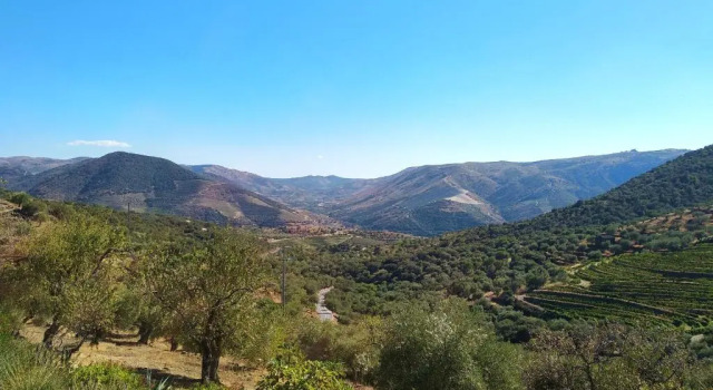 Вилла с 2 комнатами Quinta Vale de Carvalho