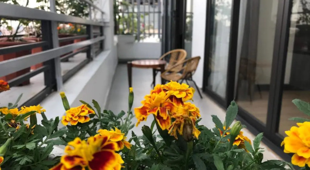 Апартаменты Elysinam Boutique Hotel Ha Long
