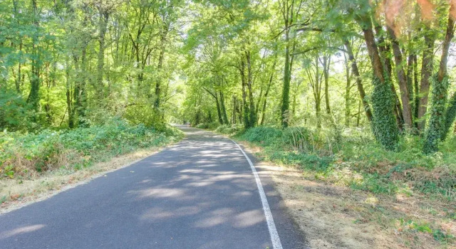 Pet-friendly Home w/ Yard, 2 Mi to Autzen Stadium, Buchen Sie Ferienhaus Springfield Willamette Valley
