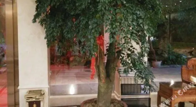 Yixin Hotel, Prenota Hotel Dehong Yunnan