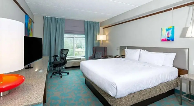 Номер Deluxe Hilton Garden Inn Asheville Downtown
