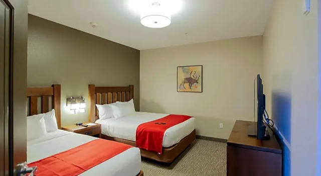 Люкс с 2 комнатами Great Wolf Lodge Chicago/Gurnee