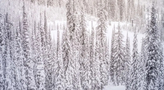 Вилла Snowmass Villas 1104