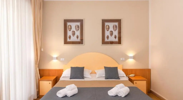 Двухместный номер Standard Hotel Stella DItalia