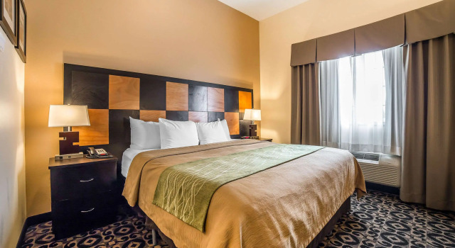 Двухместный номер Standard Comfort Inn Ballard-Roosevelt