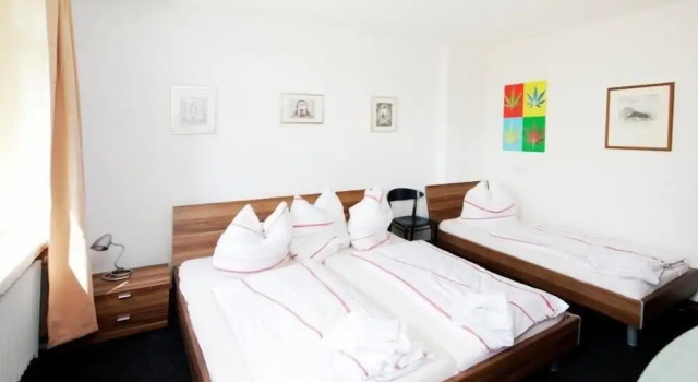 Трёхместный номер Economy Hotel Goldener Hahn
