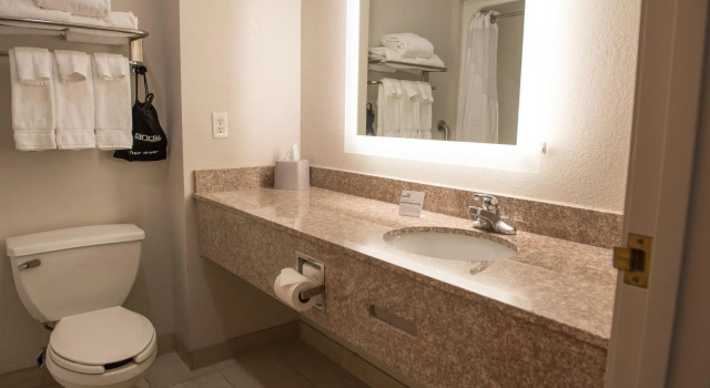 Номер Standard Holiday Inn Express Hotel & Suites Elkhart-South by IHG