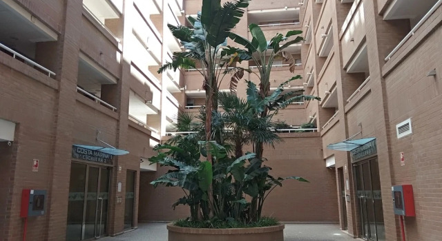 Costa Marina III Oropesa Apartment, Забронировать Апартаменты/квартира Апартаменты Оропеса-дель-Мар, Апартаменты/квартира
