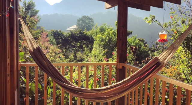 Domek wiejski Mount Totumas Cloud Forest