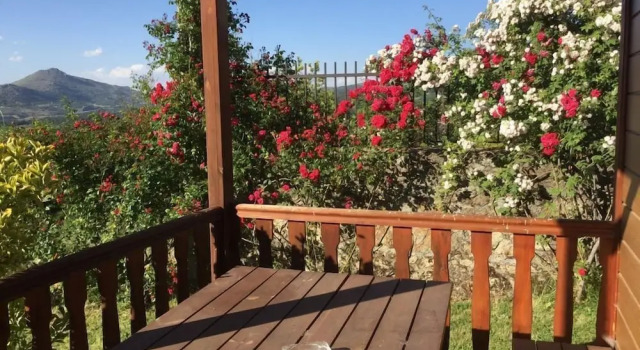 Бунгало Camping Candelario