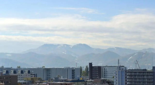 Одноместный номер Standard Hotel Sapporo Sun Plaza
